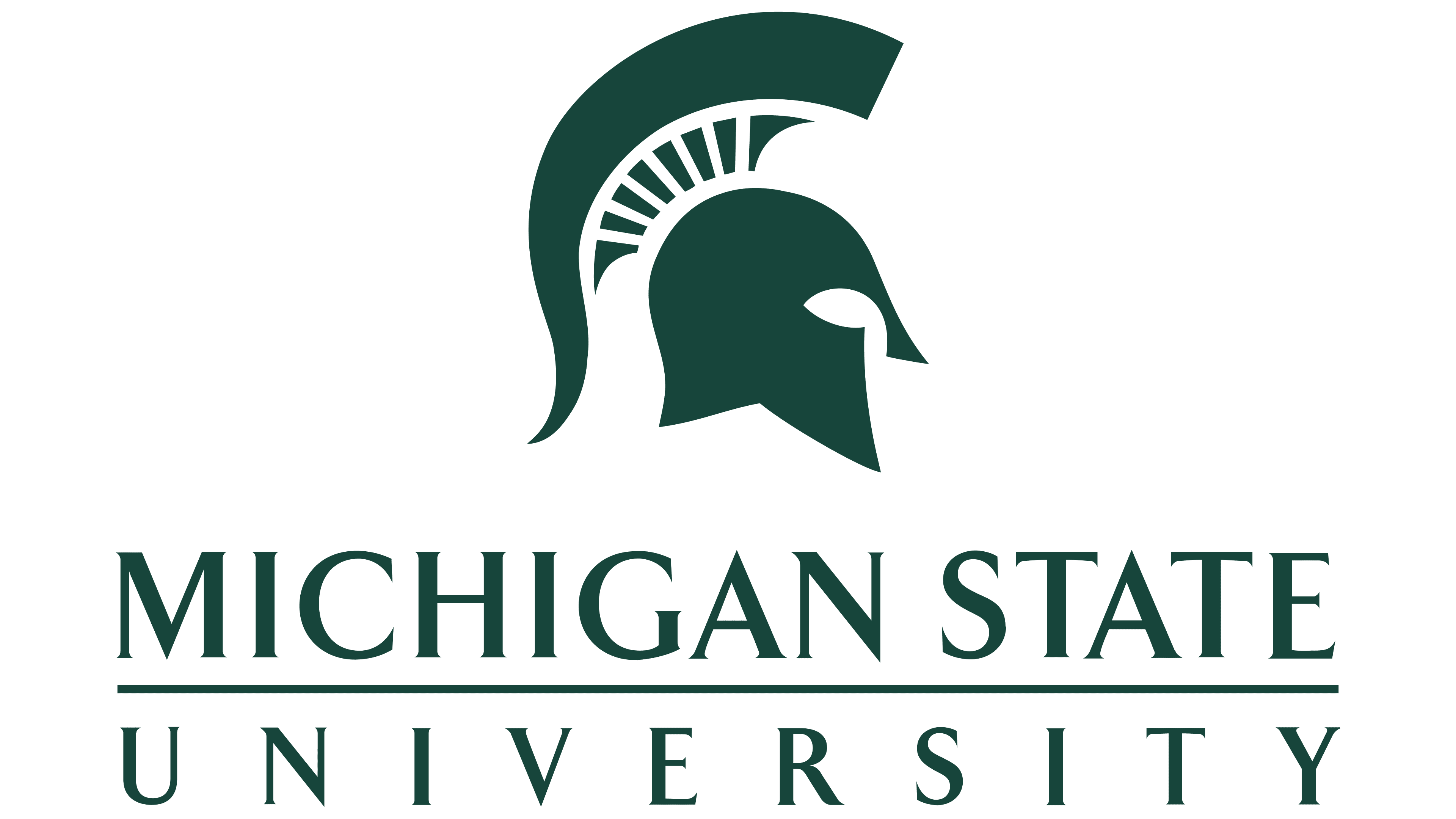 Michigan State University